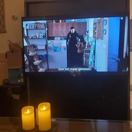 Σπίτι διακοπών Vakantiebungalow De Schaapskooi *