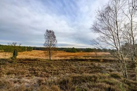 Vakantiebungalow De Schaapskooi Сasa de vacaciones